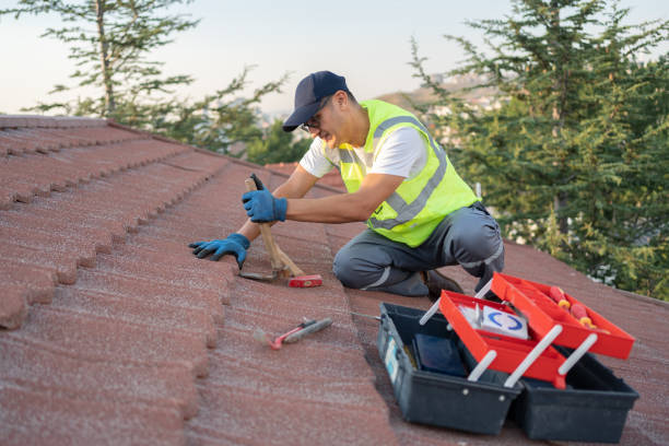 Roof Gutter Cleaning in Scranton, PA